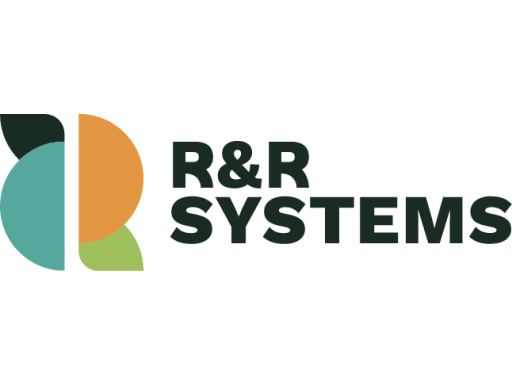 Logo R & R Systems B.V. Logo R & R Systems B.V.