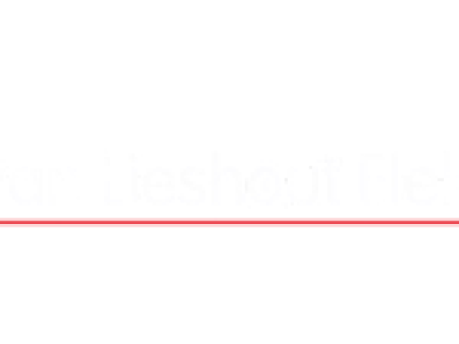 Logo Van Lieshout Elektra B.V. Logo Van Lieshout Elektra B.V.
